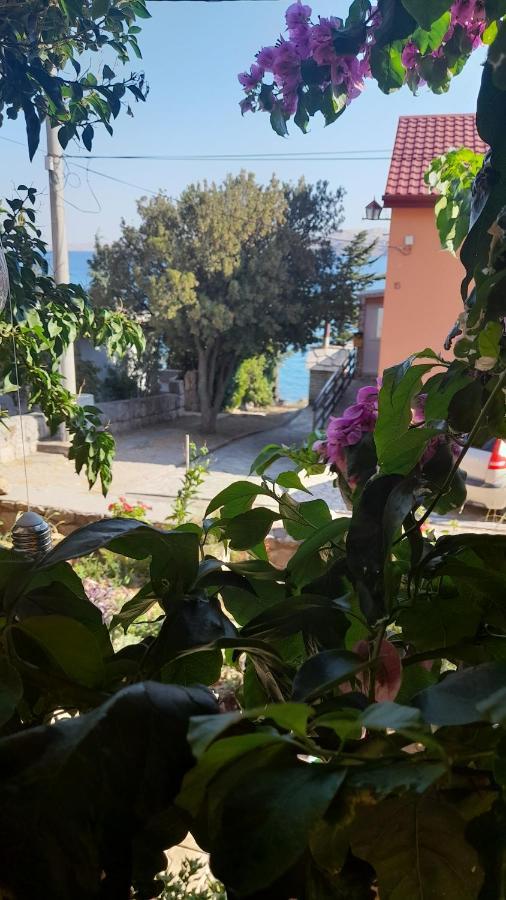 Apartmani Ivankovic Karlobag Zimmer foto